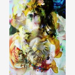 HANNE THOMASSEN Korteske