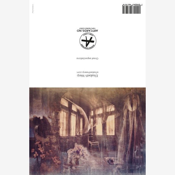  Elisabeth Werp kunstkort Great expectations 