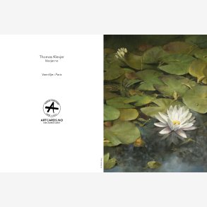 WATER LILY IN PARIS Thomas Klevjer