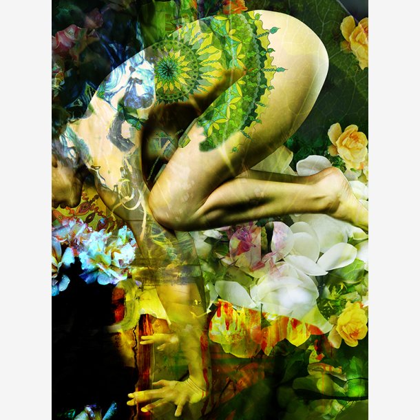 HANNE THOMASSEN Korteske