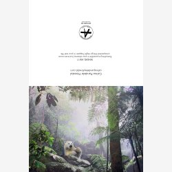 CALINA PANDELE YTTREDAL kortkolleksjon