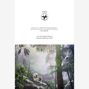 Calina Pandele Yttredal kunstkort WHERE AM I? 