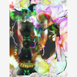 HANNE THOMASSEN Korteske