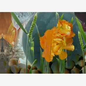 Life in the Orchard IV 