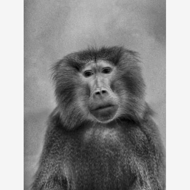 PER MANING Kunstkort-eske