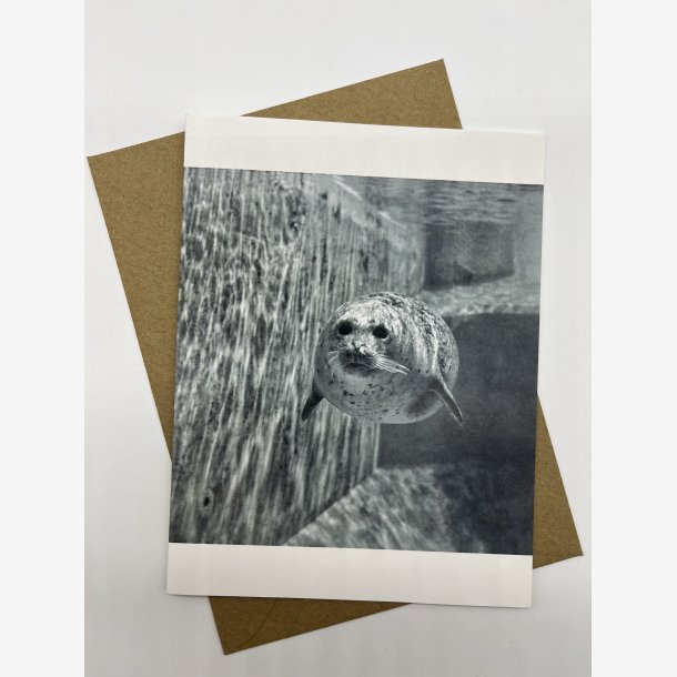 PER MANING Kunstkort-eske