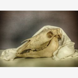 PER MANING Kunstkort-eske