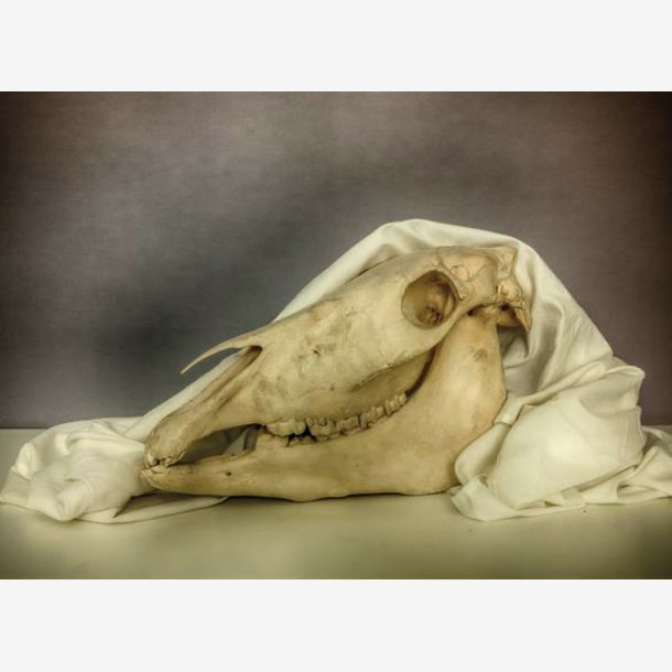 PER MANING Kunstkort-eske