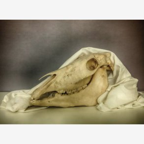 PER MANING, No.Fourteen, kunstkort