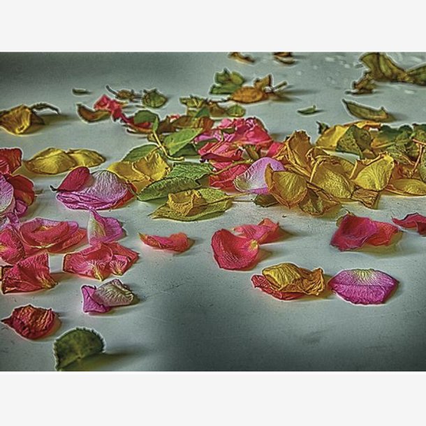 PER MANING Kunstkort-eske