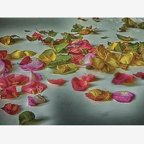 PER MANING No.Nineteen, kunstkort