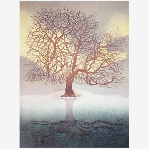 Calina Pandele Yttredal kunstkort THE WORLD TREE